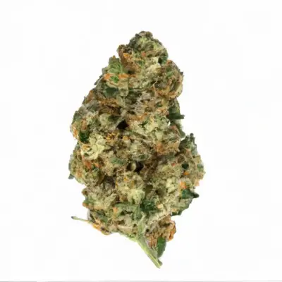 CBD White Widow (1:10) Marijuana Seeds