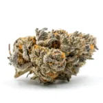 Jealousy THCA Flower 01